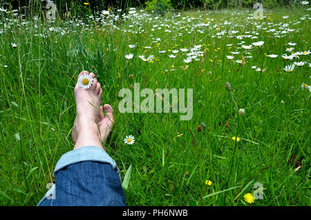 Feet in a flower meadow in summer Stock Photo