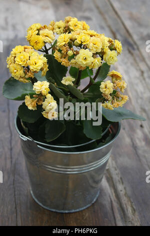 A rustic setting of yellow flowers in a tin vase on a wooden table. Stock Photo