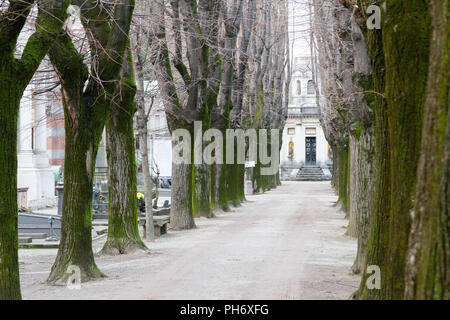 Milano, Italy. 2018/2/8. An alley at the Cimitero Monumentale ('Monumental Cemetery') in Milan, Italy. Stock Photo