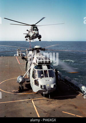 AJAXNETPHOTO. 6TH OCT 2001. OMAN. A SEA KING HELICOPTER FROM ROYAL NAVAL AIR SQUADRON 845 LIFTS OFF FROM THE DECK OF HMS FEARLESS AS A LYNX PREPARES TO FOLLOW.  PHOTO:JONATHAN EASTLAND/AJAX REF:CD/SS/SH1-6(OMA-18) Stock Photo