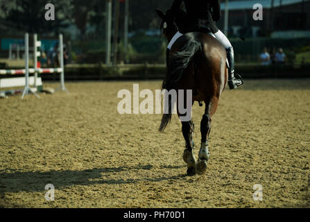 Durban, KwaZulu-Natal, South Africa, single rider on show jumping sport horse, 2018 Winter Warmer Eventing Show at Shongweni Club, Valley 1000 hills Stock Photo