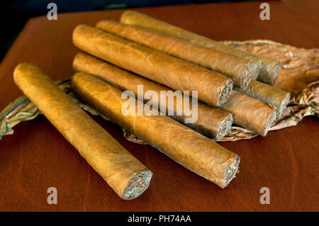 Cuban Cigars, Cuba Stock Photo