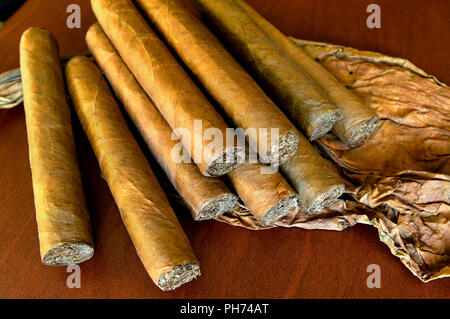 cuba cigars cuban farmer tobacco rolled local hand viales alamy similar