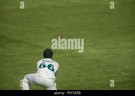 London, UK. 30 August 2018.  Billy Root takes the catch and Tom Curran is out.batting for Surrey against Nottinghamshire on day two of the Specsavers County Championship game at the Kia Oval. David Rowe/Alamy Live News. Stock Photo