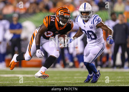 Cincinnati Bengals tight end Cethan Carter (82) after an NFL football  preseason game between the Indianapolis Colts and the Cincinnati Bengals at  Paul Brown Stadium in Cincinnati, OH. Adam Lacy/(Photo by Adam