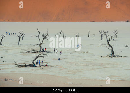 Tourists between dead camelthorn trees (Acacia erioloba) in front of sand dunes, Dead Vlei, Sossusvlei, Namib Desert Stock Photo
