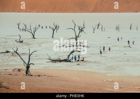 Tourists between dead camelthorn trees (Acacia erioloba) in front of sand dunes, Dead Vlei, Sossusvlei, Namib Desert Stock Photo