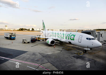 Transavia airplane Boeing 737-800 - Orly airport - France Stock Photo
