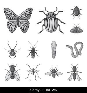 Different kinds of insects monochrome icons in set collection for design. Insect arthropod vector symbol stock  illustration. Stock Vector