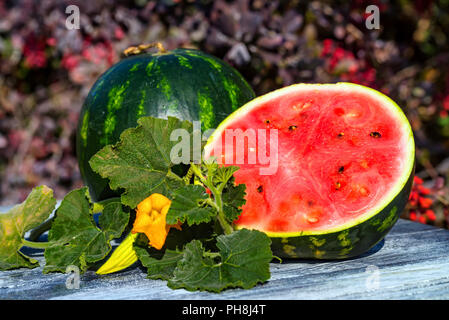 Close up delicious sliced watermelon on wooden board . Selective focus. Organic summer diet concept Stock Photo