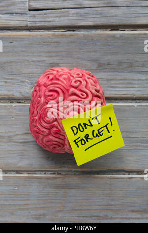 Don't forget label stuck on a brain Stock Photo