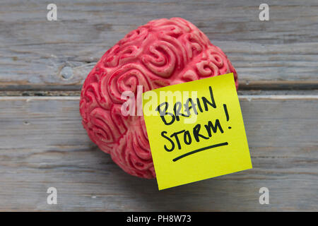 Brainstom label stuck on a brain Stock Photo