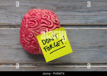 Don't forget label stuck on a brain Stock Photo
