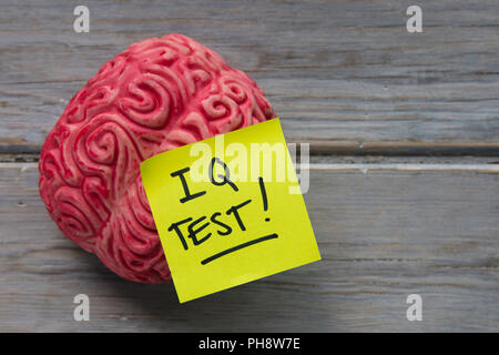 IQ test label stuck on a brain Stock Photo