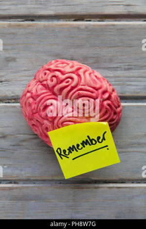 Remember label stuck on a brain Stock Photo