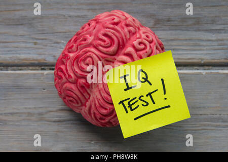 IQ test label stuck on a brain Stock Photo
