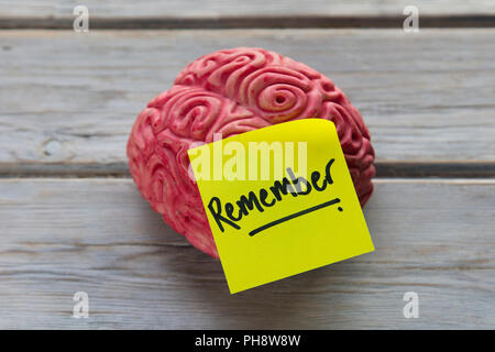 Remember label stuck on a brain Stock Photo