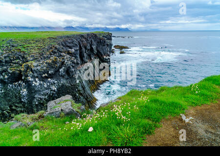 Bird cliffs at the seaside near Arnarstapi Village Stock Photo