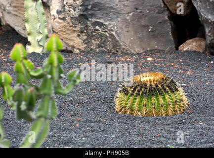 Lanzarote Stock Photo
