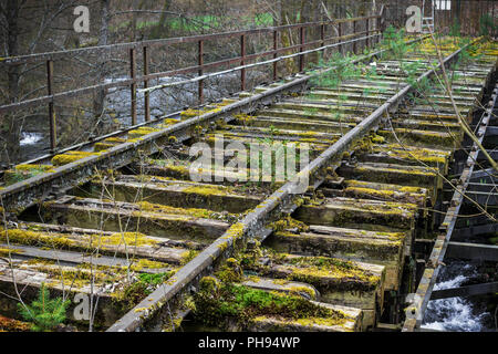 Old overgrown railway track, Hesse, Germany Stock Photo