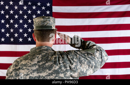 flag salute respect honor patriot heart pledge United States America ...