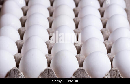 Cardboard carton filled with fresh whole eggs Stock Photo