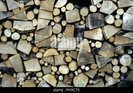 Stacked firewood Stock Photo