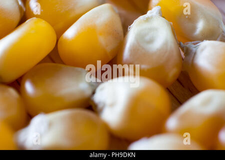 Macro shot of dried corn seeds on wooden background. Stock Photo