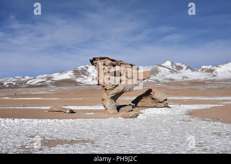 The Arbol de Piedra (Stone Tree), in the Siloli Desert, Sud Lipez Province, Uyuni, Bolivia. Stock Photo