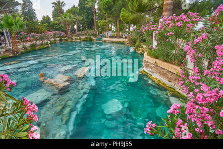 Cleopatra pool, blooming flowers, Hierapolis Ancient City, Pamukkale, Turkey Stock Photo