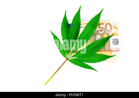 Green hemp leaf on euro money Stock Photo
