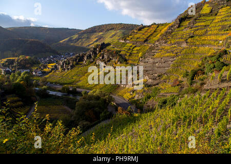 Vineyards in the Ahr Valley, Germany Stock Photo