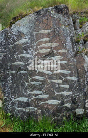 Denmark, Greenland, Qaqortoq, Inuit rock carvings, fish Stock Photo