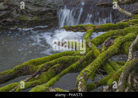 Brook called Eselsklinge nearby Schwaebisch Hall, Germany Stock Photo