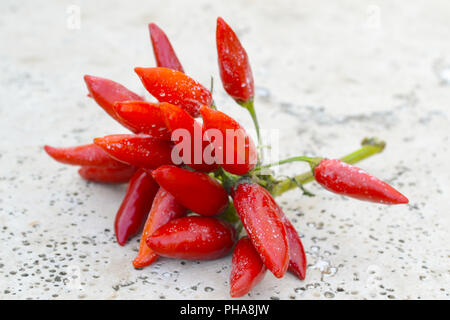 bunch of red hot chilli peppers Stock Photo