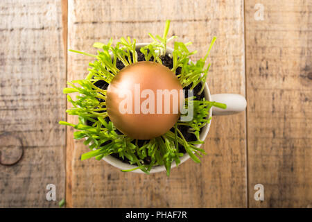 Green wheat in the ceramic cup Stock Photo