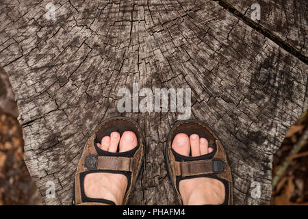 Closeup of man's feet on the old stump - wooden background. Man standing on a cut tree. Stock Photo