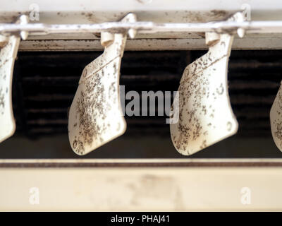 close up mold in air conditioner system. Danger and the cause of pneumonia and respiratory diseases in house or office. air condition must clean evern Stock Photo