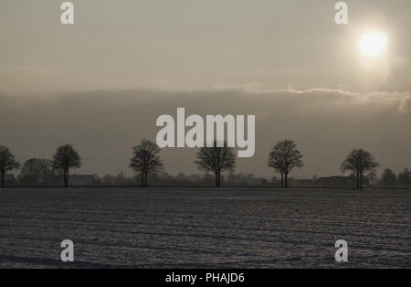 Alley in winter evening sun Stock Photo