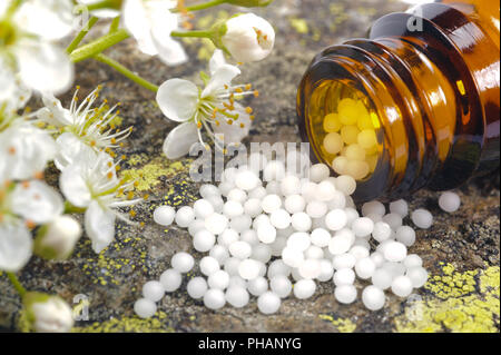 homeopathic globules as therapy for alternative medicine Stock Photo