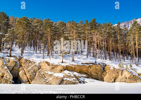 Snow covered the mountain and the pine trees Stock Photo