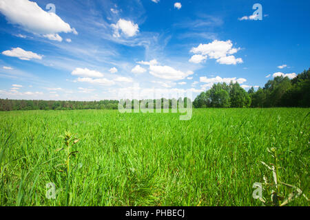 green field under a blue cloudy sky Stock Photo - Alamy