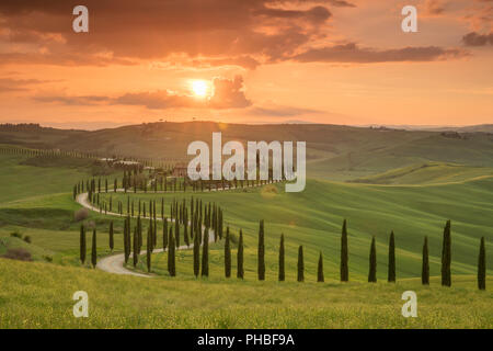 Sunset over the Agriturismo Baccoleno and winding path with cypress trees, Asciano in Tuscany, Italy, Europe Stock Photo