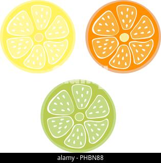 citrus group in size .Set lime, lemon orange Stock Vector