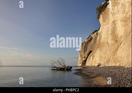 Moens Klint on a summer morning. Limestone cliff in Denmark. Stock Photo