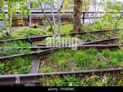 railways covered with grass and flowers Stock Photo