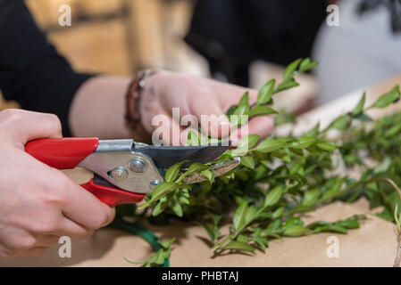 Florist cuts boxwood for arrangement Stock Photo