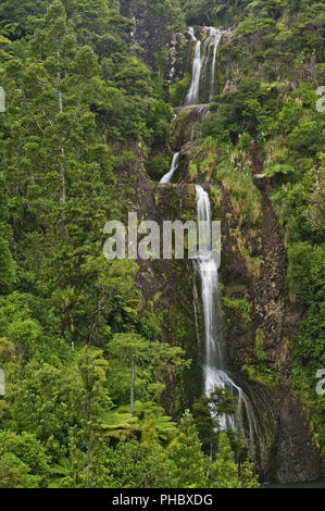 Kitekite Falls, Waitakere Ranges Regional Park, New Zealand Stock Photo