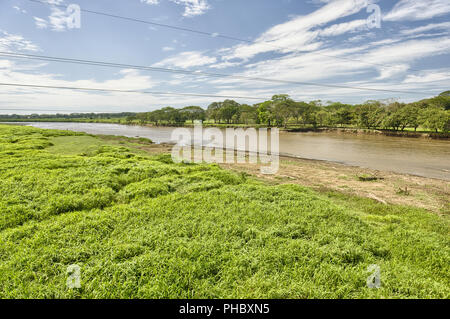 Tarcoles River, Costa Rica Stock Photo