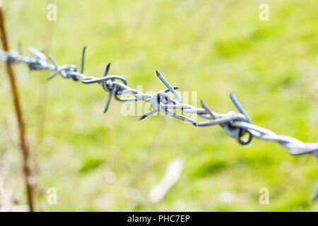 close-up the barbwire on the fence building Stock Photo